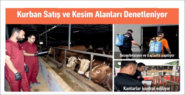 Kurban Satış ve Kesim Alanlarını Denetliyorlar