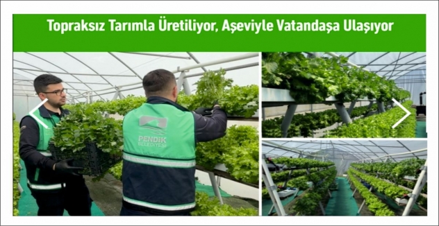 Topraksız Tarımla Üretiliyor, Aşeviyle Vatandaşa Ulaşıyor
