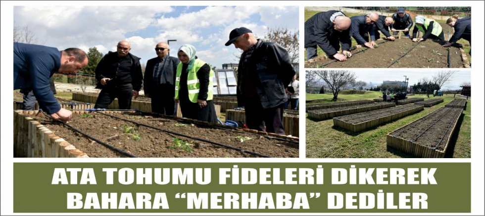 ATA TOHUMU FİDELERİ DİKEREK BAHARA “MERHABA” DEDİLER