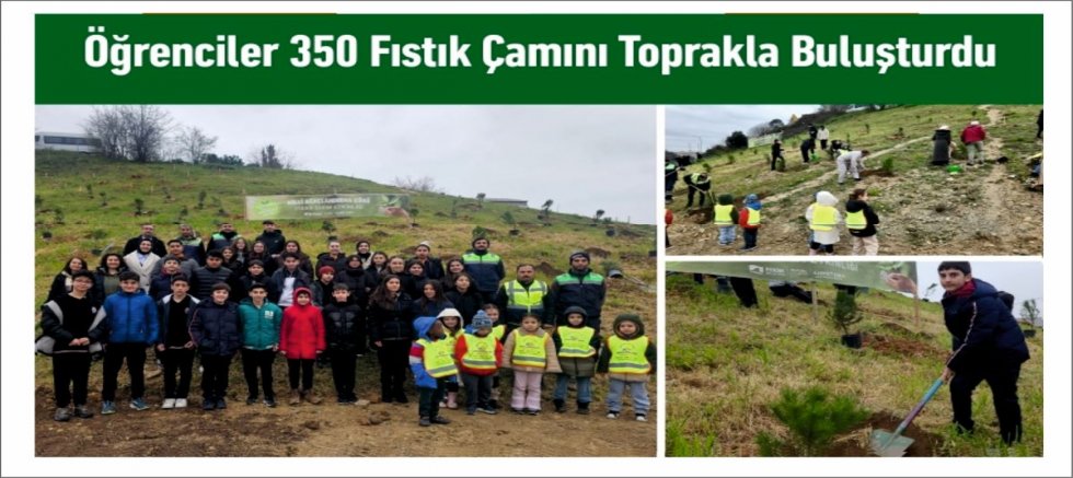 Öğrenciler 350 Fıstık Çamını Toprakla Buluşturdu