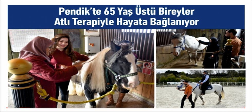 Pendik’te 65 Yaş Üstü Bireyler Atlı Terapiyle Hayata Bağlanıyor