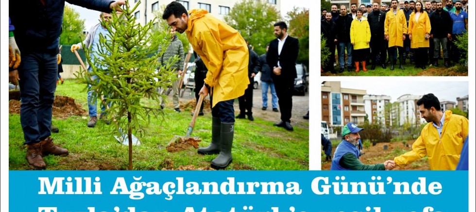 Milli Ağaçlandırma Günü’nde Tuzla’dan Atatürk’e yeşil vefa