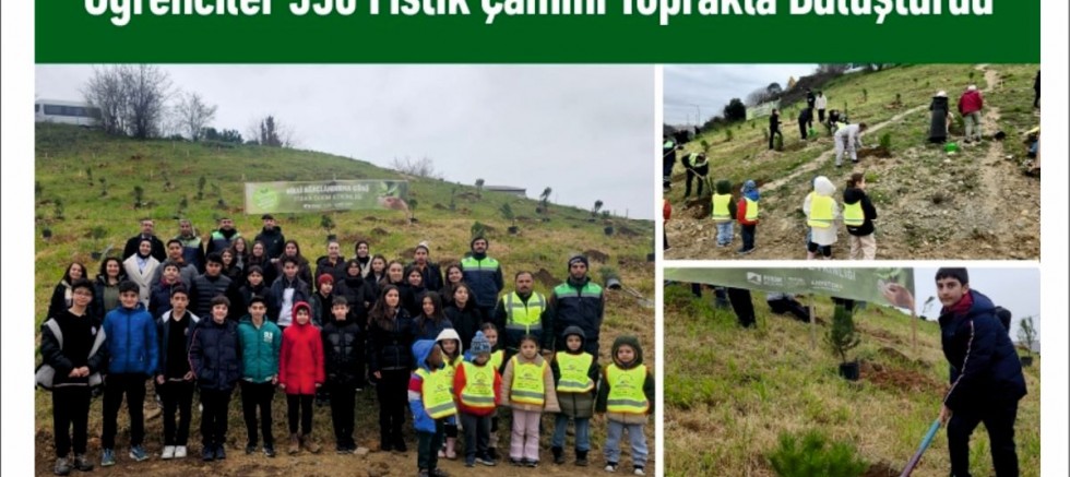 Öğrenciler 350 Fıstık Çamını Toprakla Buluşturdu