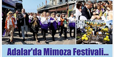 festivalde bütün Adalar Mimoza rengi ile süslendi