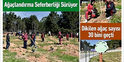 Ağaçlandırma Seferberliği Sürüyor