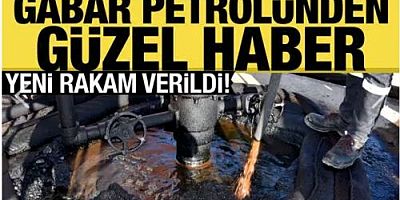 Bakan Bayraktar: Gabar petrolünde üretim miktarı belli oldu