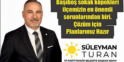 Başıboş sokak köpekleri  ilçemizin en önemli  sorunlarından biri.  Çözüm için  Planlarımız Hazır