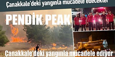 Çanakkale’deki yangınla mücadele edecekler