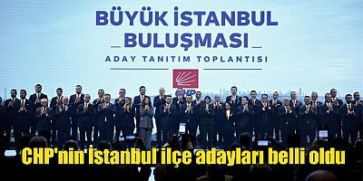 CHP'nin İstanbul ilçe adayları belli oldu