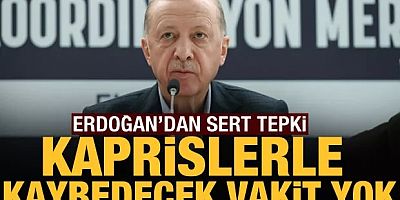 Cumhurbaşkanı Erdoğan: Kaprislerle kaybedecek vakit yok!