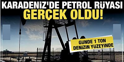 Karadeniz'de petrol! Günde 1 ton denizin üstüne çıkıyor