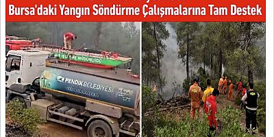 Pendik Belediyesinden Bursa'daki Yangın Söndürme Çalışmalarına Tam Destek