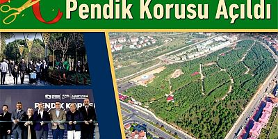 Pendik Korusu Açıldı