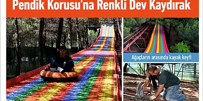 Pendik Korusu’na Renkli Dev Kaydırak