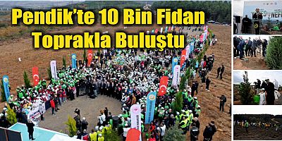 Pendik’te 10 Bin Fidan Toprakla Buluştu