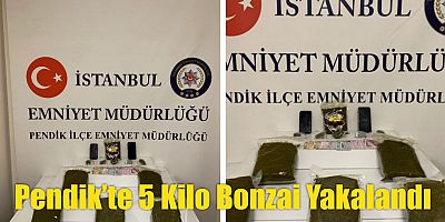 Pendik’te 5 Kilo Bonzai Yakalandı