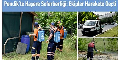 Pendik’te Haşere Seferberliği: Ekipler Harekete Geçti