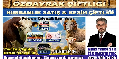 Şile’de Kurban İbadeti Kurumsal Güvenle Buluşuyor: Özbayrak Kurbanlık & Kesim Çiftliği Hizmete Hazır