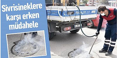 Sivrisineklere karşı erken müdahale