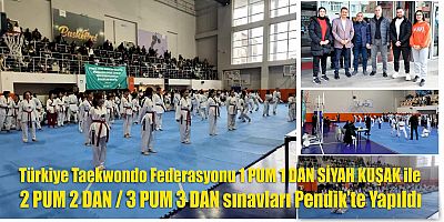 Türkiye Taekwondo Federasyonu sınavları Pendik’te yapıldı