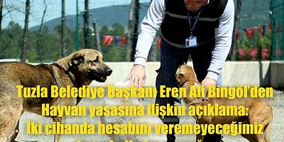 Tuzla Belediye Başkanı Eren Ali Bingöl’den hayvan yasasına ilişkin açıklama: İki cihanda hesabını veremeyeceğimiz bu vebali almayacağız