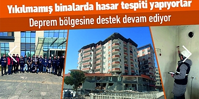 Yıkılmamış binalarda hasar tespiti yapıyorlar