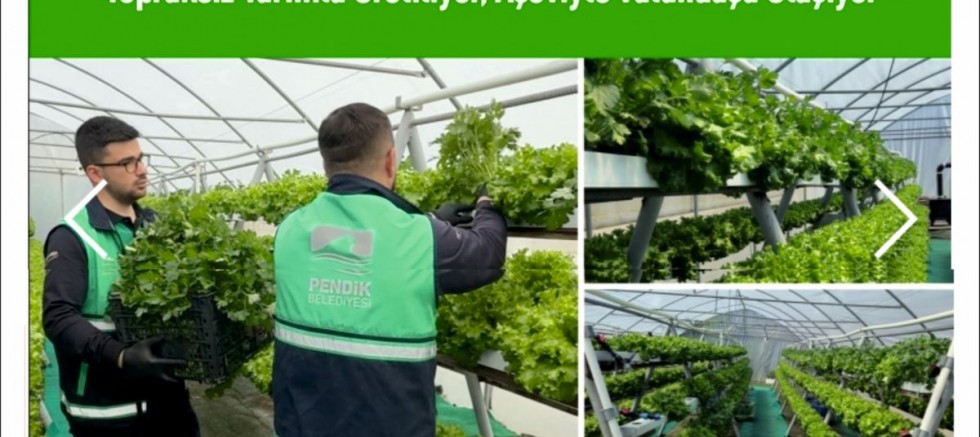 Topraksız Tarımla Üretiliyor, Aşeviyle Vatandaşa Ulaşıyor